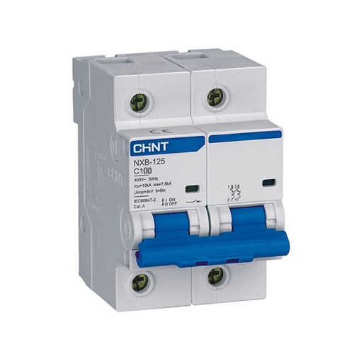 Aptomat MCB Tép Chint 2P 100A NXB-125