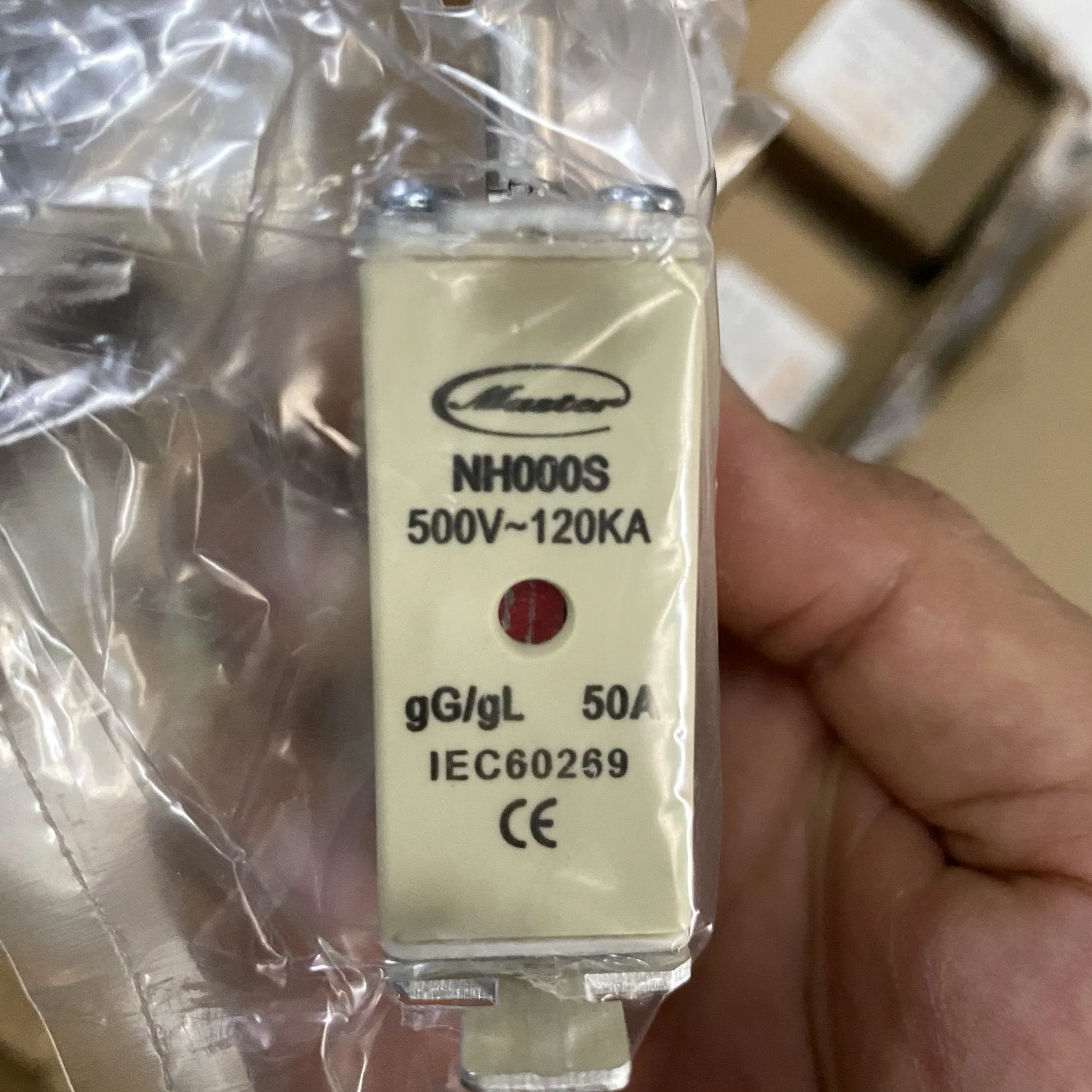 Cầu Chì Sứ Master 100A NH000S
