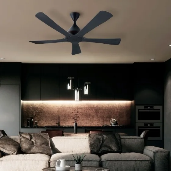 Quạt Trần Điều Khiển Từ Xa Fan Panasonic F-60DHN