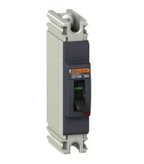Aptomat MCCB Schneider 1P 100A EZC100H1100