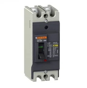 Aptomat MCCB Schneider 2P 100A EZC250H2100