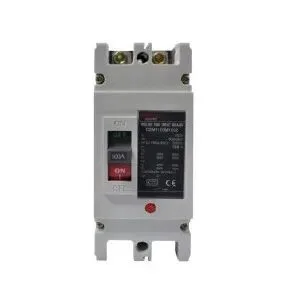APTOMAT MCCB DELIXI CDM1100M1002
