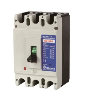 Aptomat MCCB Khối 3P 100A Shihlin BM-100H