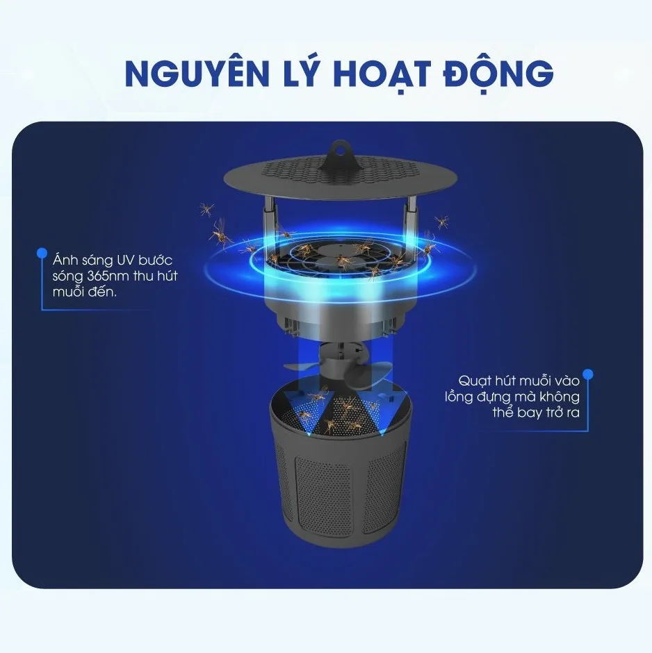 Đèn UV Bắt Muỗi Rạng Đông DBM01 5W