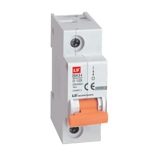 Cầu Dao Điện MCB Loại Tép 100A LS BKH 1P