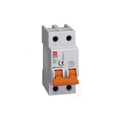 Cầu Dao Điện MCB Loại Tép 100A LS BKH 2P