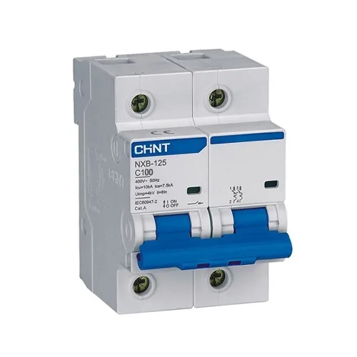 Aptomat MCB Tép Chint 2P 100A NXB-125