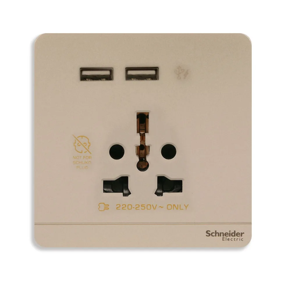Mặt Ổ Đa Năng Kèm Ổ USB Schneider AvatarOn E8342616USB_WG_G19